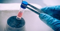 fda تصرح بتناول أدوية كازيريفيماب وإيمديفيماب لعلاج كورونا فى حالات الطوارئ