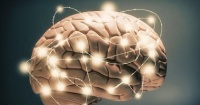دراسة أدمغة الثدييات تبدأ فى أكل نفسها عند الحرمان من النوم