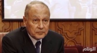 أحمد أبو الغيط القضية الفلسطينية تعرضت لاختبار قاس وهناك فرصة لتصحيح المسار