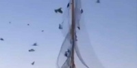الأمن البيئي يباشر التحقيق في مقطع نصب الشباك لصيد الطيور